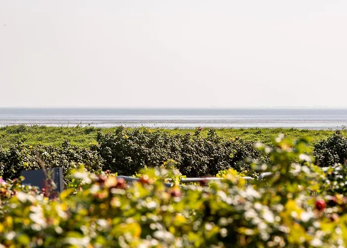 Апартаменты Raantem Hues Whg 1 Sylt